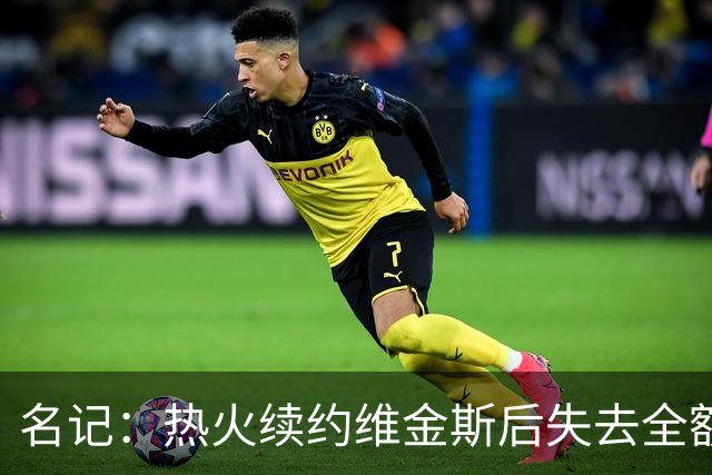 名记：热火续约维金斯后失去全额中产特例 或尝试交易约维奇